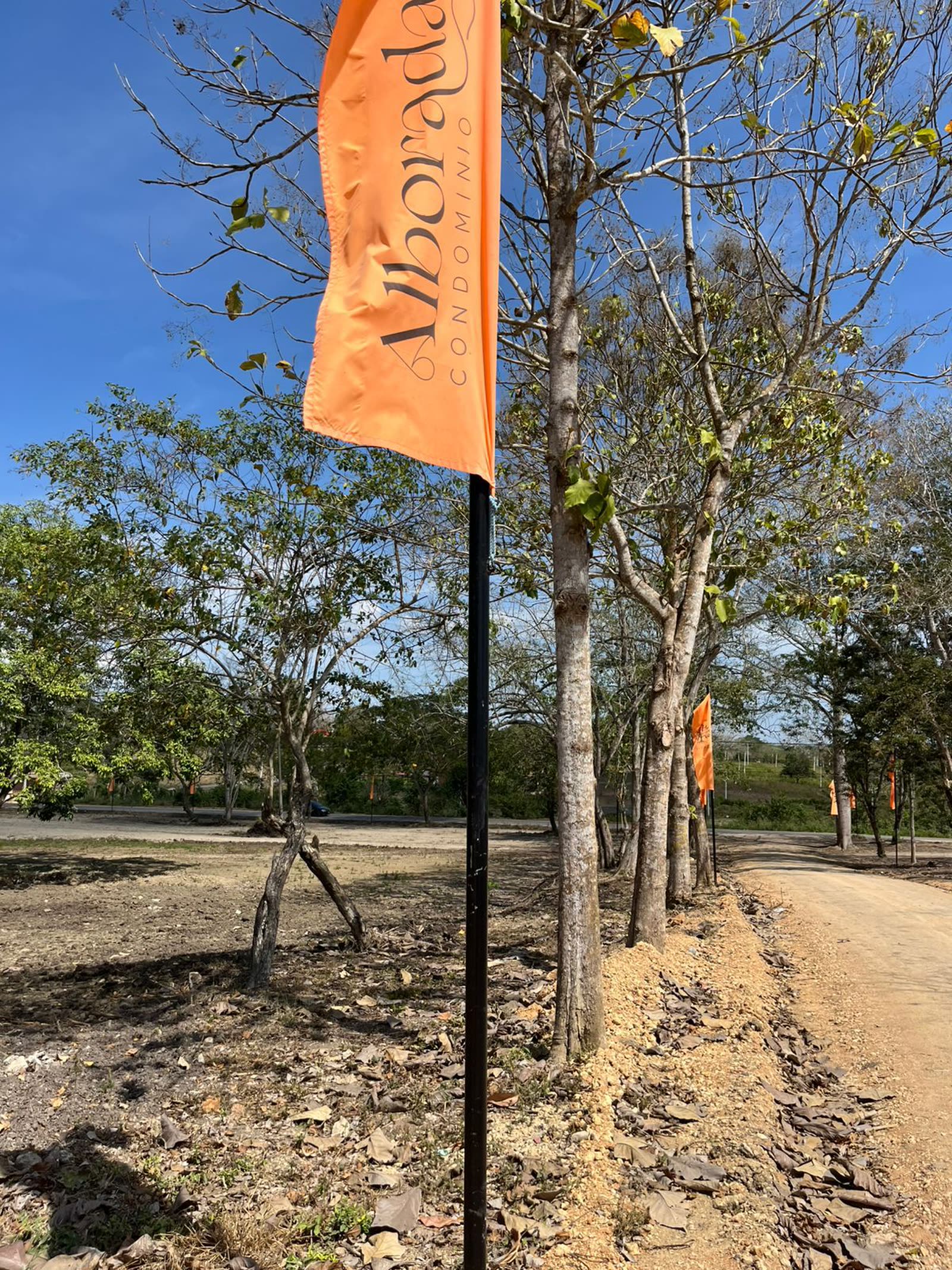 Terreno con banderas de Alborada