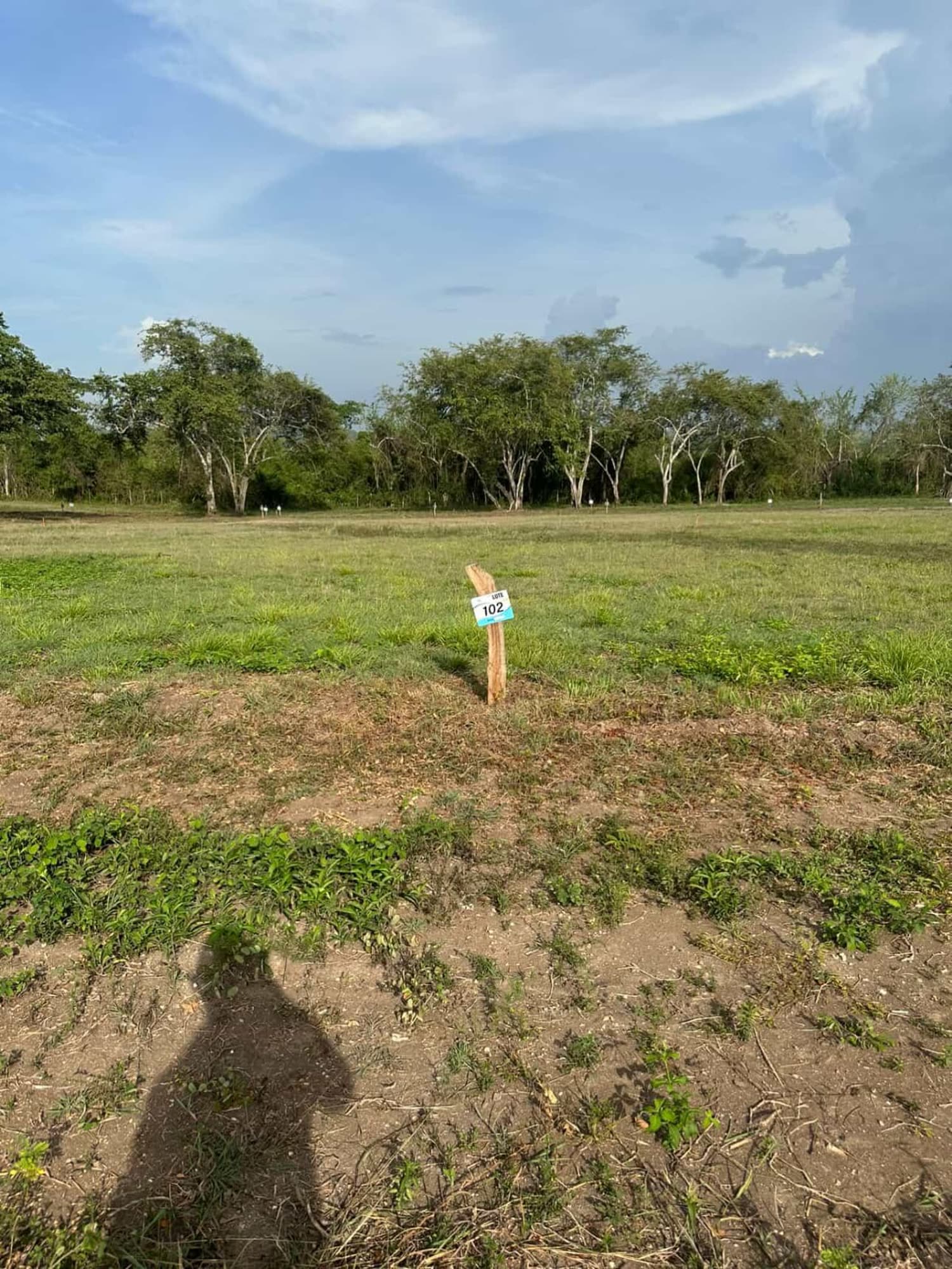 Lote marcado Los Lagos