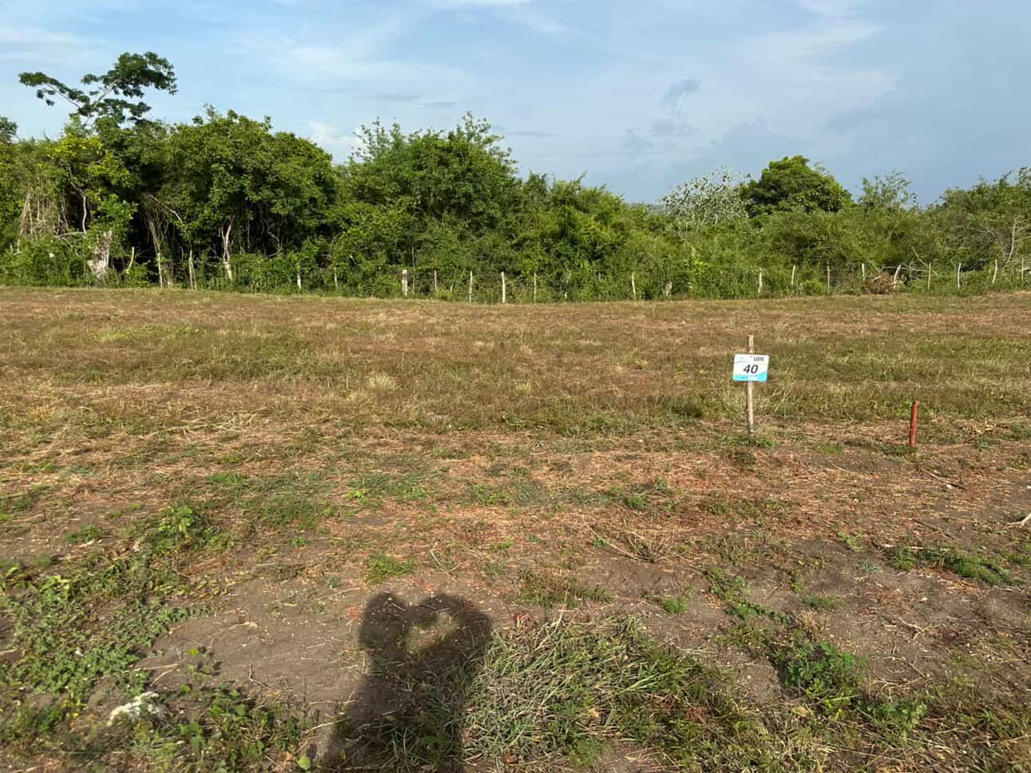 Lote 40 marcado